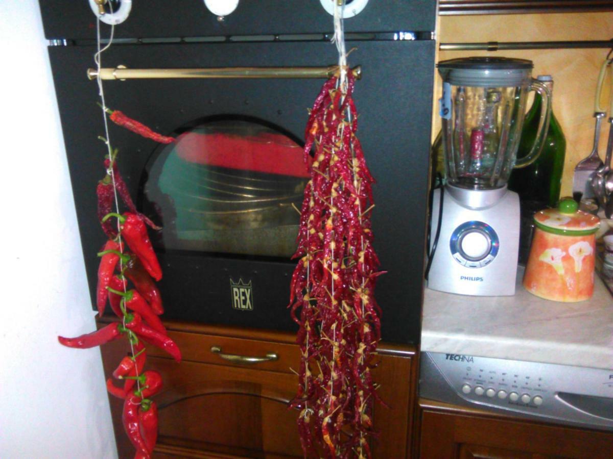 L'Oasi Bed & Breakfast Auletta Bagian luar foto